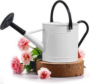Arrosoir de style antique le plus vendu pour l'arrosage des plantes de jardin et la décoration intérieure, avec une poignée en métal robuste - Product Image 3