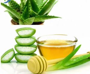 Aceite de Aloe Vera Puro y Natural de Marca Privada para Masajes, Aceite Orgánico de Aloe Vera que Conserva la Humedad - Product Image 4