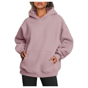 Sudadera con Capucha Casual para Mujer, Invierno-Otoño 2025, Bordada, con Estampado de Insignias, Forrada, Estilo Urbano, Felpa, OEM, ODM, Logotipo Personalizado - Product Image 2
