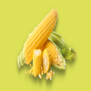 Alimento para Animales a Base de Gluten de Maíz de Primera Calidad, Venta al Por Mayor, Listo para Enviar, Servicio OEM, Suministro a Granel, Exportación de la Mejor Calidad - Product Image 1