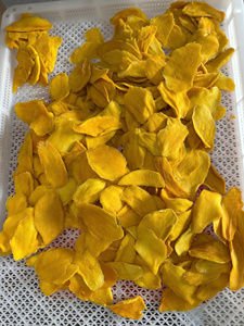 Mangues séchées douces de haute qualité en emballages personnalisés de 100g, 250g, 500g, 1000g, fabrication OEM au Vietnam - Product Image 4