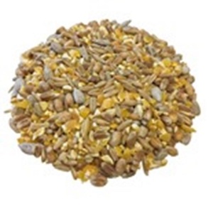 Corn Chicken feed with free delivery - Product Image 2