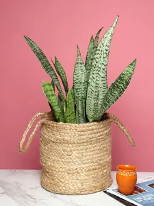 Juego de 2 Cestas Rectangulares Multifuncionales Modernas y Ecológicas de Yute 100% para Almacenamiento o Plantas de Interior - Product Image 4