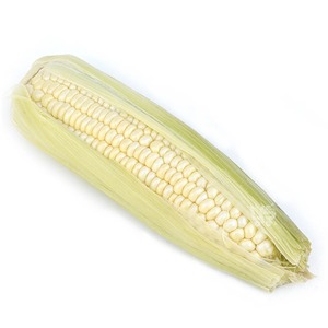 Maíz Blanco Orgánico Seleccionado Entregado a Compradores Importadores con Manipulación Limpia y Embalaje Seguro para Exportación - Product Image 2
