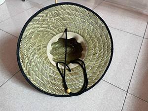 Chapeau de paille mexicain coloré à large bord léger pour l'été, la plage et les festivals - Product Image 6