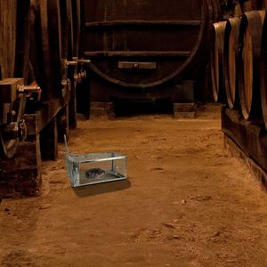 Trappola Umana per Topi Vivi in Gabbia, in Ferro Zincato, per il Controllo di Topi e Ratti, con Esca e Asta a U Rimovibile, Prodotto per il Controllo dei Parassiti - Product Image 3