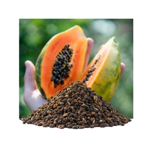 TENDANCES ACTUELLES : Alternative de poivre de table de qualité supérieure pour l'approvisionnement et les formulations créatives de bouillons savoureux, à base de graines de papaye séchées et propres. - Product Image 1