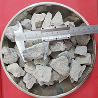 Poudre de Dolomite Marque SHC Chaux Vive 55% CaO Dessiccant Meilleur Prix Gris pour l'Acier, l'Agriculture et la Fabrication du Verre Exporté du Vietnam