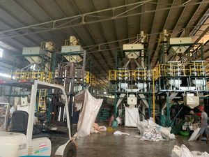 Poivre noir du Vietnam de haute qualité, épice, certifié AD ISO 22000, sac PP de 25 kg/50 kg, fournisseur fiable, contact +84 363 565 928 - Product Image 6