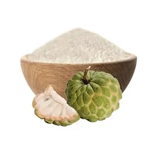 CUSTARD APPLE POWDER - HIGH QUALITY AND COMPETITIVE PRICE FROM VIETNAMESE SUPPLIER