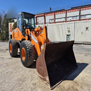 Cargadora de Ruedas DL250-3 2014, Equipo de Construcción Compacto de Uso Pesado - Product Image 1