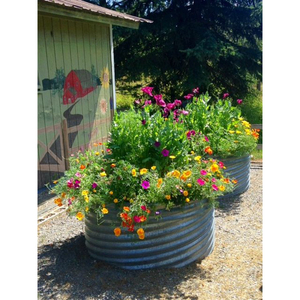 Bac à légumes surélevé en acier, jardinière en métal pour légumes et fleurs, montage facile, kit de jardin extérieur au meilleur prix - Product Image 5