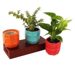 Pot de fleurs en céramique avec des lignes décoratives auto-définies, jardinière décorative pour l'intérieur et l'extérieur - Product Image 5