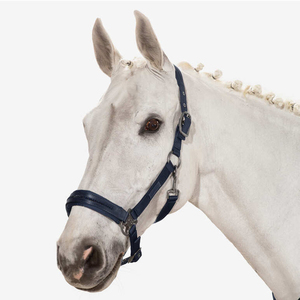 Harnais réglable de haute qualité pour courses de chevaux, 100% polyester, équipement équestre personnalisable - Product Image 3