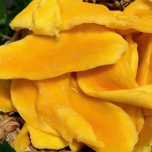 Premium Soft Dried Mango Slices Vietnam OEM ODM Private Label Wholesale Manufacturer Factory Supplier Export Factory Direct - Product Image 1