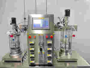 Biorreactor de vidrio 1L observación transparente muestreo estéril Biorreactor de laboratorio de agitación mecánica - Product Image 5