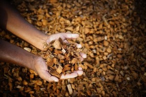 MDS Coco Chips Lavados, Acondicionador de Suelo de Fibra de Coco Orgánica y Ecológica con Alta Retención de Agua y Soporte Nutricional - Product Image 3