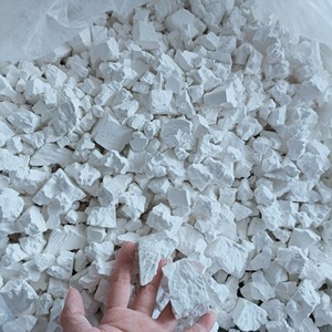 Polvo de Raíz de Kudzu Natural, Fabricante de Vietnam, Suministro a Granel, Polvo Herbal Saludable para Bebidas y la Industria Alimentaria - Product Image 2