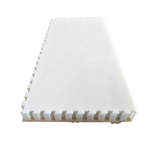 Panneaux modulaires de patinoire synthétique en UHMWPE durables pour les lieux d'entraînement sportif - Product Image 1