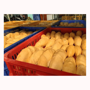 Durian surgelé premium du Vietnam, 100% fruit tropical naturel, qualité export en gros, fournisseur de durian surgelé - Product Image 1