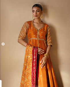 SADIA AUN HUTE COUTURE Sari en soie orange avec broderie dorée, tenue de mariage indienne traditionnelle pour femmes, longueur au sol - Product Image 1