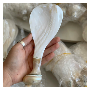 Unique Design Seashell Spoon Stylish Seashell Spoon Crafted from Conch Mother of Pearl for Gourmet Caviar Serving Experience - Product Image 5