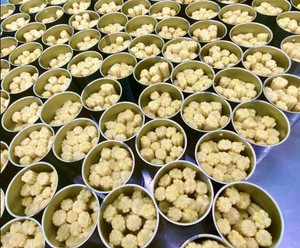 Maíz de bebé enlatado OEM al por mayor, entero y cortado en salmuera | Suministro a granel | Sra. Lily - Product Image 2