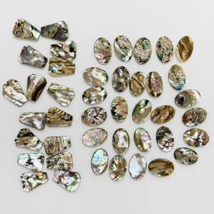 เปลือกหอยเป๋าฮื้อขัดเงาธรรมชาติ |   เปลือกหอยเปาอ่าสีรุ้งสำหรับงานสมัดจิ้งจอก งานเครื่องประดับ และของตกแต่งบ้าน - Product Image 1