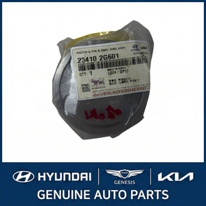 Pistons et segments neufs Grandeur/Azera 234102G601 - Product Image 2