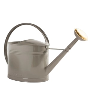 Arrosoir en acier galvanisé de 1 gallon, pot d'arrosage de jardin en métal avec long bec verseur et buse amovible en or/laiton, double poignée - Product Image 1