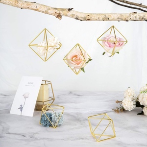 Support moderne en métal doré 3D pour plantes et fleurs, idéal pour la décoration de table et suspendue à la maison - Vente en gros 2026 - Product Image 1