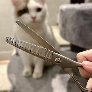 Herramienta esencial de aseo para perros de acero inoxidable de 6 pulgadas - Product Image 1