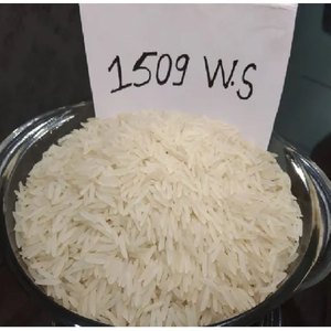 Riz Basmati Blanc Long Grain Crémeux Sella 1509, 5% de brisure, Sac PP 30-50 kg, Exportateur et Fournisseur Indien - Product Image 2