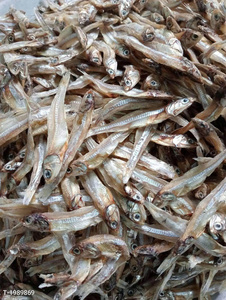 สินค้าขายดี |   ปลาแอนโชวี่แห้งสะอาด ขนาด 3-5 ซม. 6-9 ซม. คุณภาพสูง สำหรับทำน้ำซุปและปรุงรส จากเวียดนาม - Product Image 5