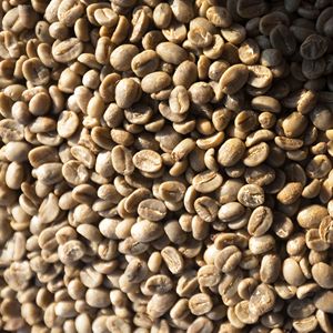 Café Vert Robusta du Vietnam Durable, Entièrement Lavé, Taille 20, Origine Haute Montagne du Vietnam, Idéal pour la Préparation du Café - Product Image 6