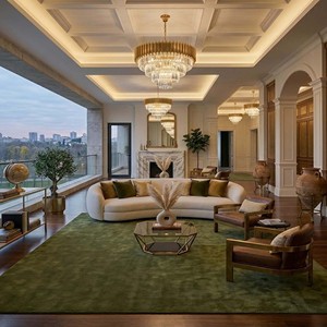 Luxury Grand Moss Area Rug Contemporary Soft Plush Hand Tufted Carpet Elegant Minimalist Floor <b>Mat</b> for Modern Home Bedroom Decor - Product Image 6
