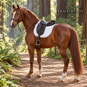 Tapis de selle sculpté pour cheval blanc avec fixation sécurisée par cordes |   Profil Contourné et Rembourré pour l'Équitation Anglaise - Product Image 4