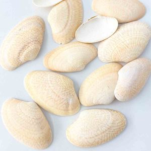Conchas marinas planas para hacer joyería y manualidades, conchas limpias al por mayor, precio más barato, conchas marinas naturales - Product Image 3