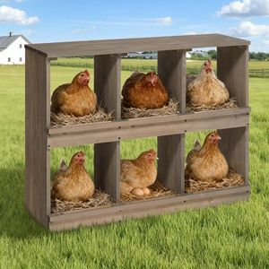 Cajas de Nidificación para Gallinas, 6 Compartimentos, Caja de Madera para Poner Huevos, Color Gris, para Gallinas, Patas de Gallina y Patos - Product Image 5