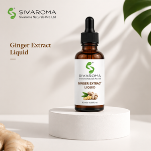 Pure Ginger Liquid Concentrate for Bulk Buyers, Perfect for Flavor Enhancement, Food Industry Applications & Beverage Production - Product Image 1