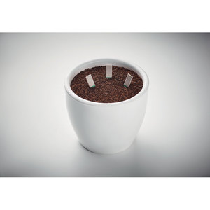 ไม้สมุนไพร Leyti พร้อมเมล็ดสำหรับใช้ในสวนการขายสินค้า - Product Image 1