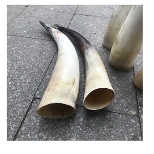 Buffalo Natural <b>Black</b> Horn decorative Modern Decorative Use Polished Eco-Friendly Natural Shape - Product Image 6