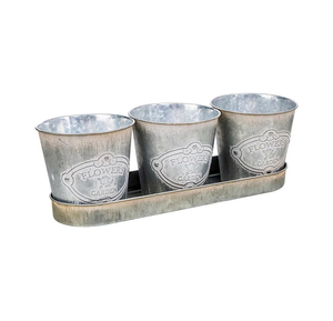 Nouvel ensemble de pots à fleurs rustiques en métal galvanisé avec plateau pour la décoration intérieure et extérieure du jardin, taille et forme personnalisables - Product Image 6