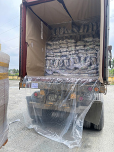 Poivre noir séché, grains de poivre de haute qualité, épice brute 500 GL nettoyée Sandra - Product Image 6