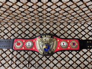 Ceinture de championnat PWF ALL ASIA MMA - Légère, en alliage de zinc, unisexe - Product Image 1