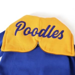 เสื้อฮู้ด Sigma Gamma Rho สีน้ำเงิน SGRho พรีเมียม สีน้ำเงินทอง เสื้อผ้าสไตล์กรีก เสื้อสเวตเชิ้ตสำหรับชมรมนักศึกษาแบบยูนิเซ็กซ์ - Product Image 5