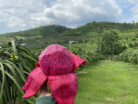 Hoogwaardig vers tropisch fruit, 100% vers, felrood, OEM ODM Rode Drakenvrucht, premium landbouwproducten uit Vietnam