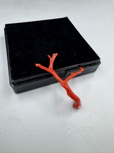 ลูกปัดปะการังแดงอิตาลีคุณภาพสูง รูปทรงกิ่งไม้ สำหรับทำเครื่องประดับ พลอยปะการังรูปต้นไม้ - Product Image 3