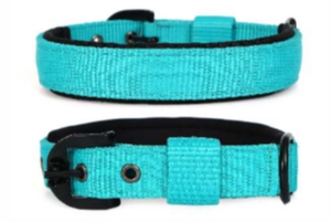 Collar táctico para perros listo para la aventura, diseñado para resistencia y comodidad con herrajes premium de Divine International - Product Image 3