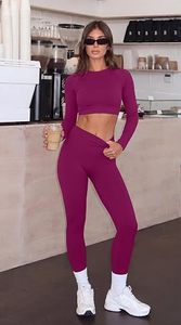 Purple Seamless Yoga Set Women High Waist Leggings <b>Crop</b> <b>Top</b> Full <b>Sleeve</b> Sport Wear Two Piece Gym Outfit Stretchable Activewear - Product Image 6